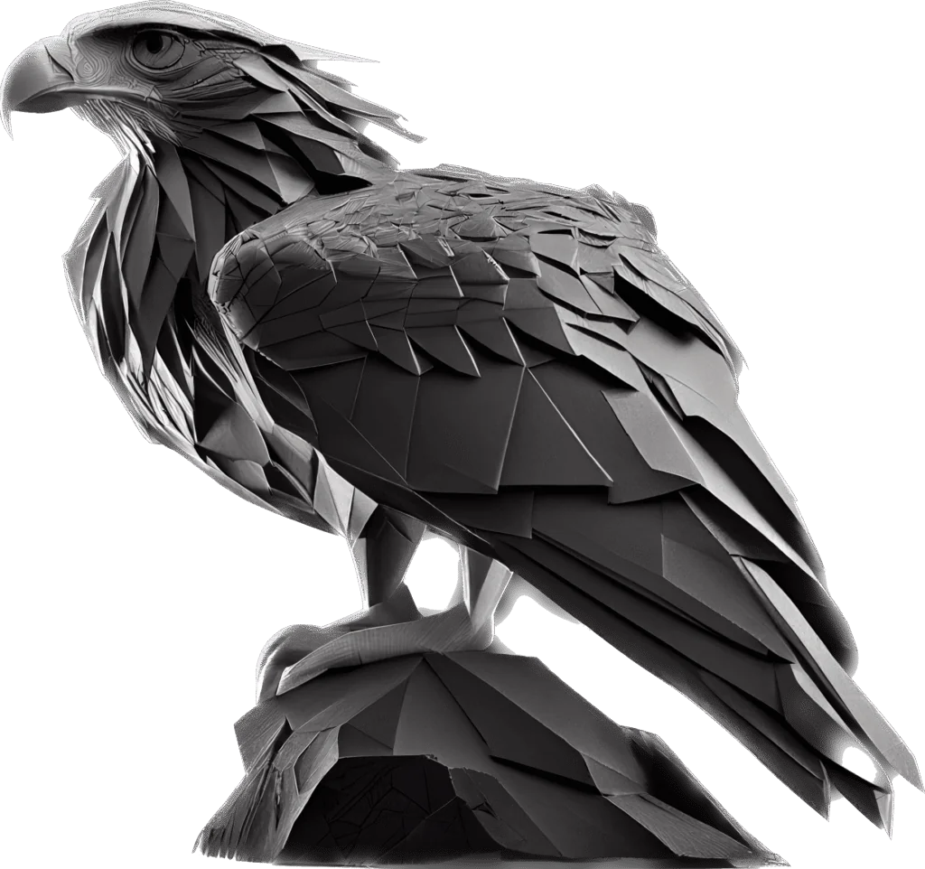 Bird morneto